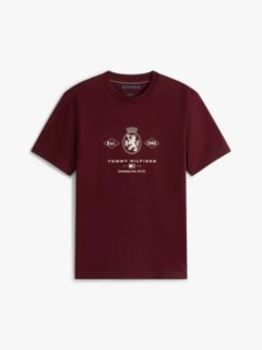 Varsity Graphic Interlock Knit T-Shirt — Burgundy 5