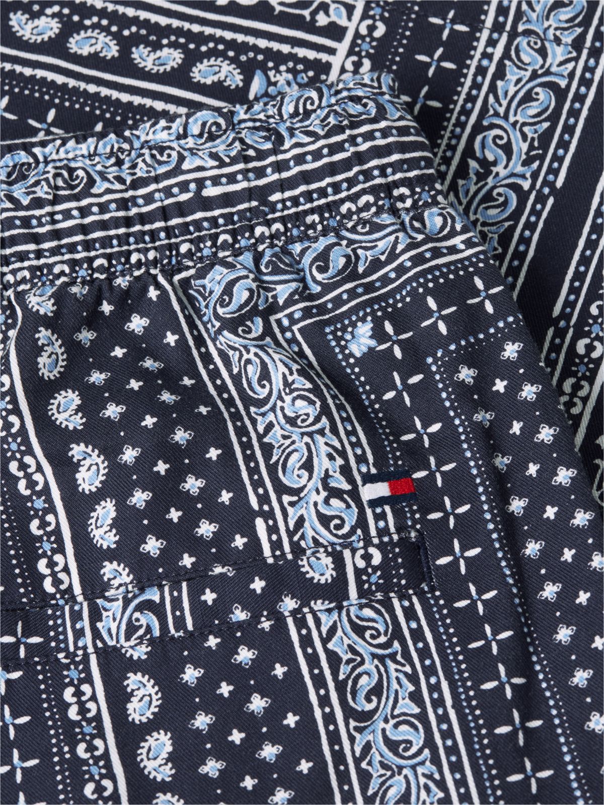 Dover Regular Straight Bandana Print Shorts — Blue