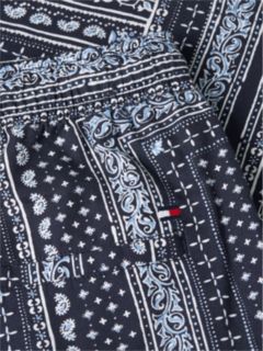 Dover Regular Straight Bandana Print Shorts — Blue 6