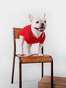 rood hondenpolo met kraag en vlag voor unisex - tommy hilfiger