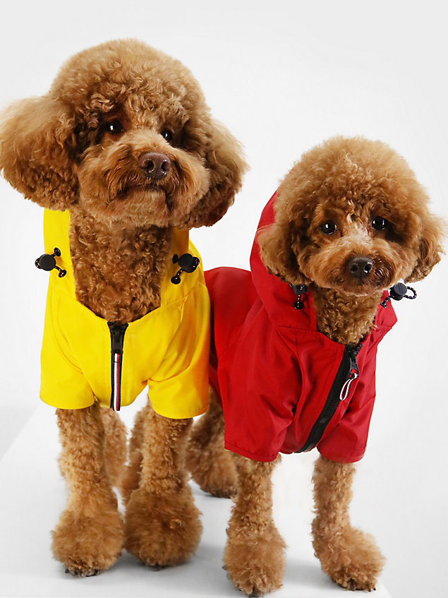 yellow dog hooded raincoat for unisex tommy hilfiger