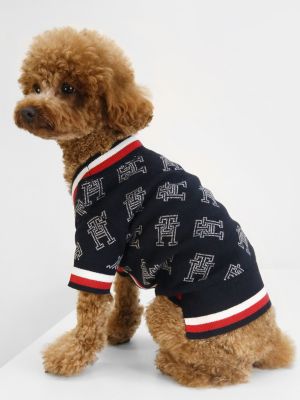 Roots 2024 dog sweater