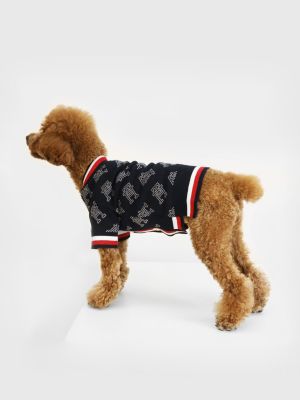 daytime Udled linje Pets Collection for women; men | Tommy Hilfiger SI