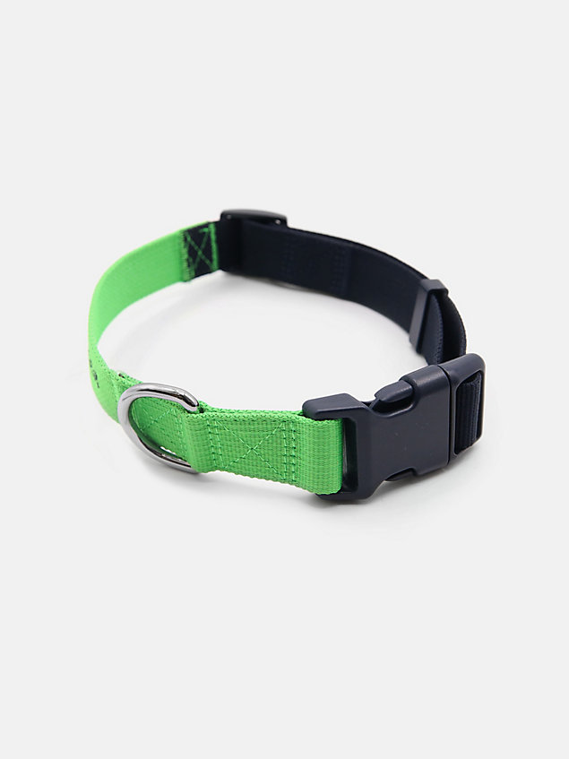green dog logo webbing collar for unisex tommy hilfiger
