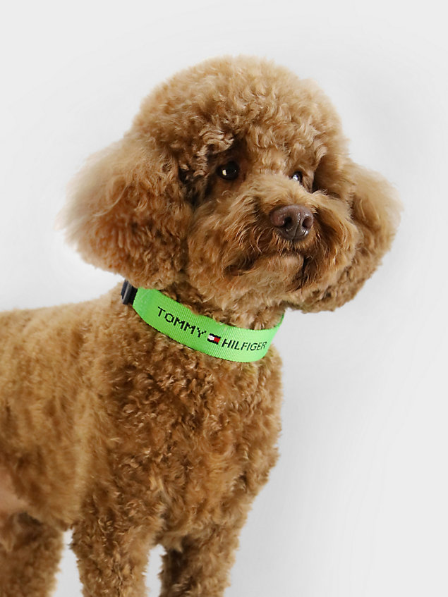 green hondenhalsband van webbing met logo voor unisex - tommy hilfiger