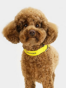 collier pour chien en toile à logo jaune pour unisex tommy hilfiger