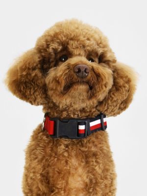 Tommy hilfiger hot sale dog harness