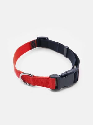 Tommy hilfiger dog collar new arrivals