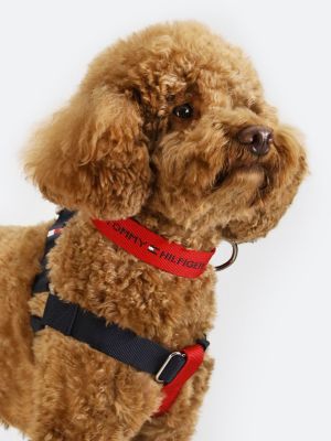 Tommy hilfiger dog deals collar