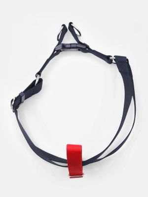 Tommy hilfiger sale dog harness