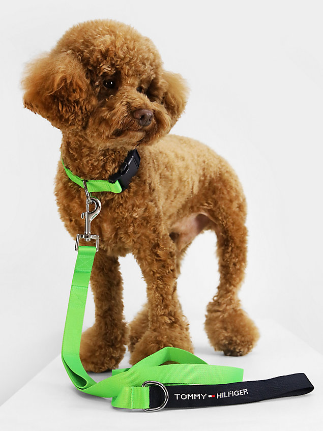 green hondenriem van webbing met logo voor unisex - tommy hilfiger