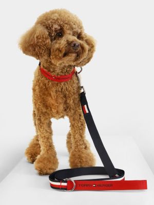 Tommy hilfiger pet sale new arrivals