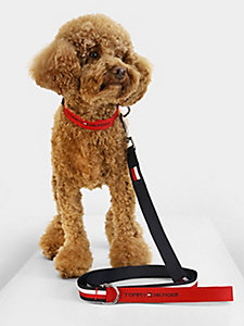 rood hondenriem van webbing met logo voor unisex - tommy hilfiger