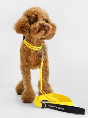 Guinzaglio per cani in tessuto con logo, Giallo