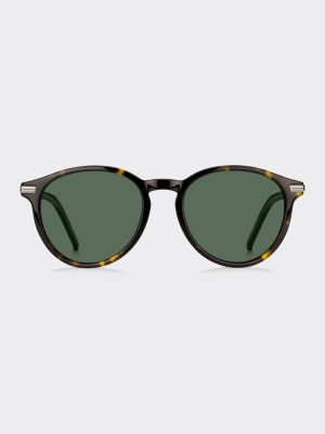 tommy brown sunglasses