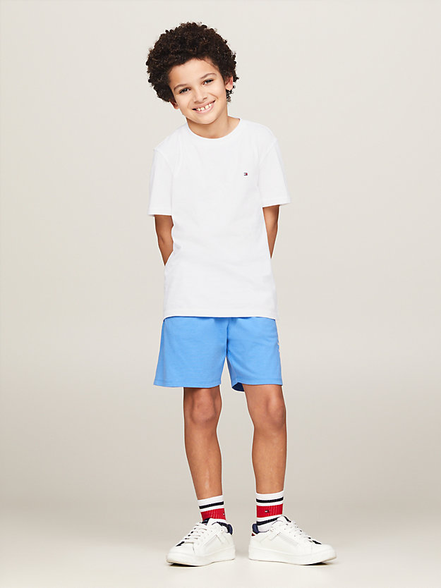 DESERT SKY/WHITE 2-Pack Crew Neck Jersey T-Shirts for boys TOMMY HILFIGER
