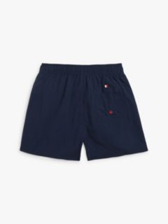 Global Stripe Mid Length Swim Shorts — Blue 2
