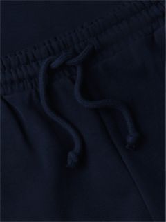 Global Stripe Terry Lounge Shorts — Blue 6
