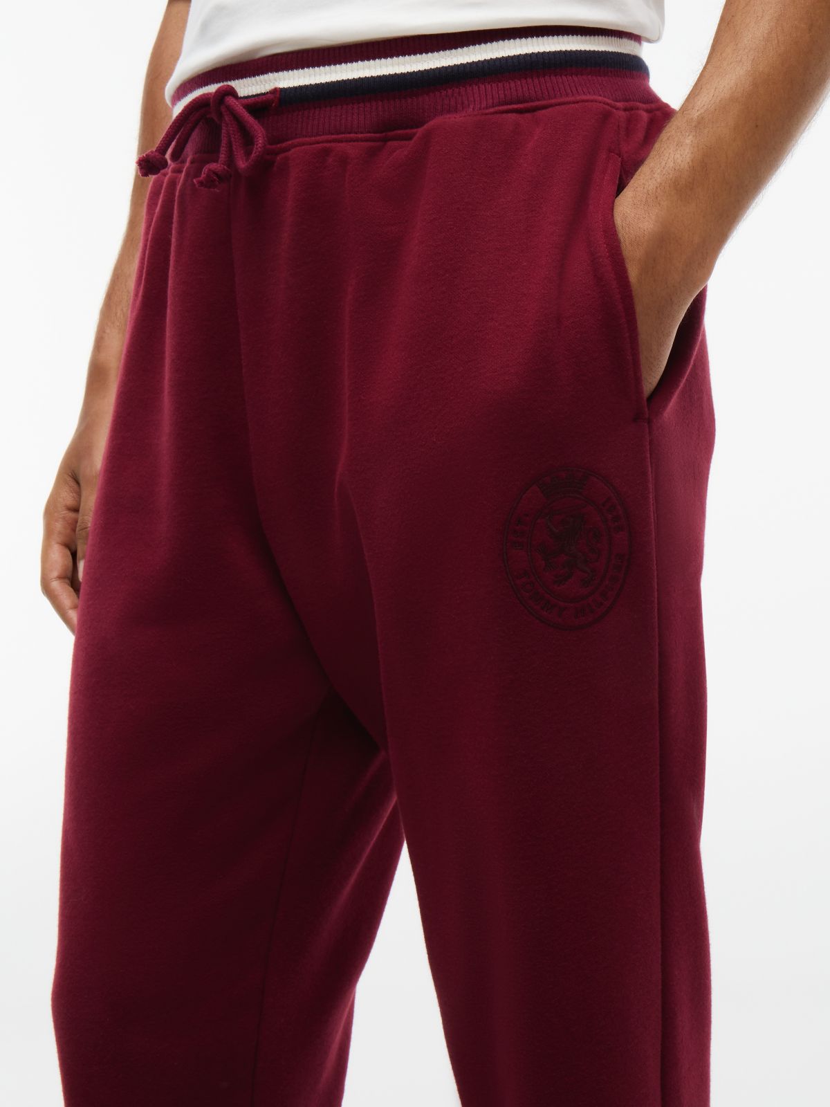 Crest Fleece Cuffed Lounge Joggers — Purple