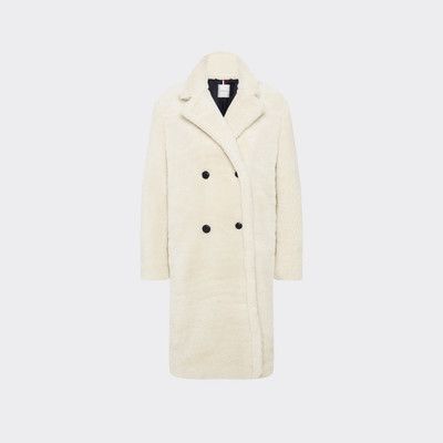 teddy coat tommy hilfiger