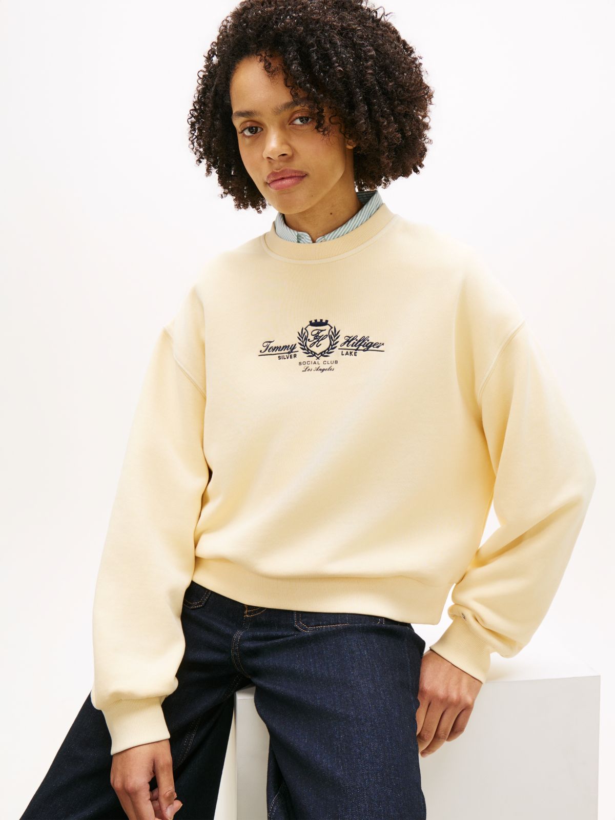 Crest Embroidery Relaxed Terry Sweatshirt — Beige