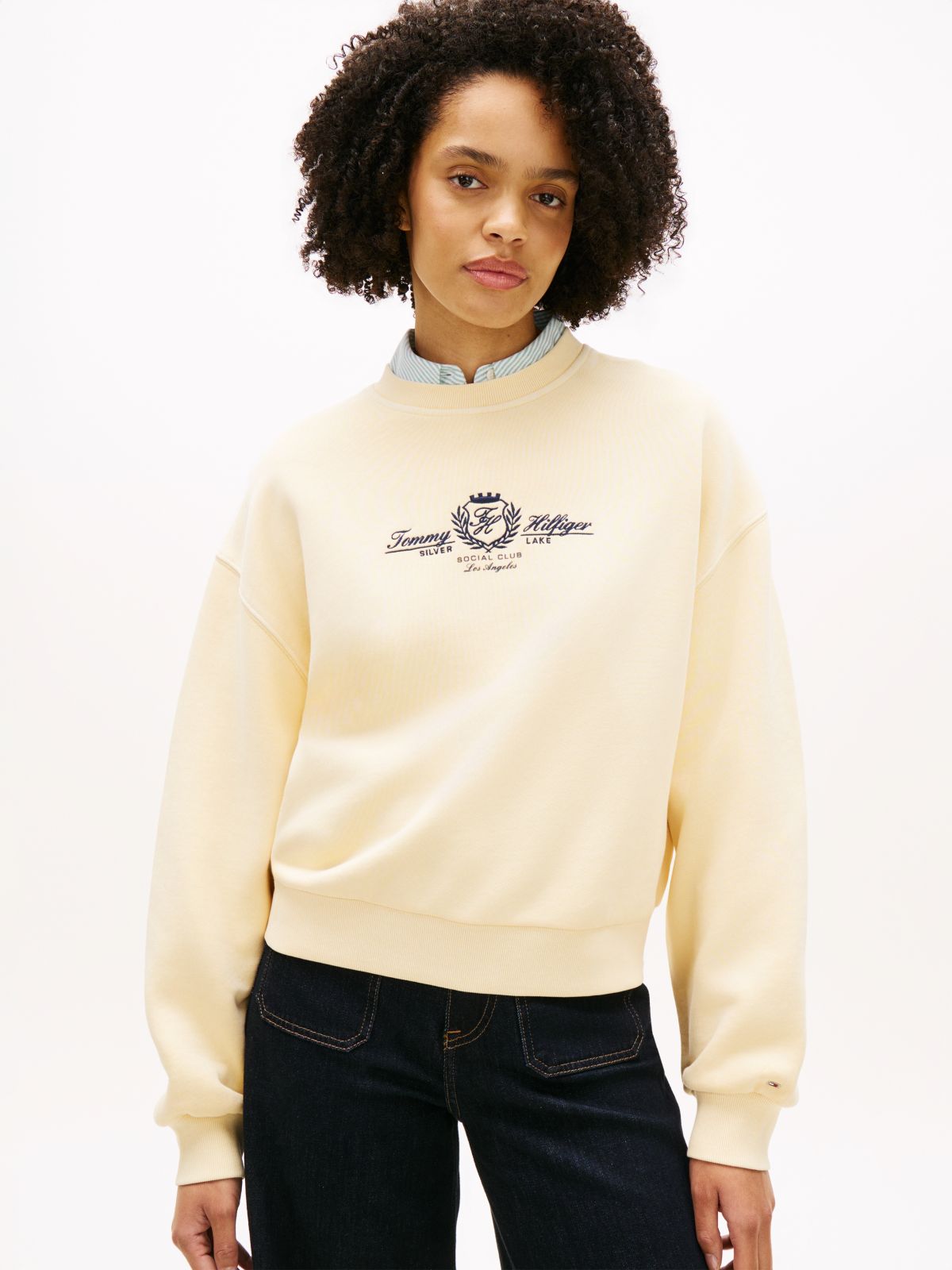 Crest Embroidery Relaxed Terry Sweatshirt — Beige