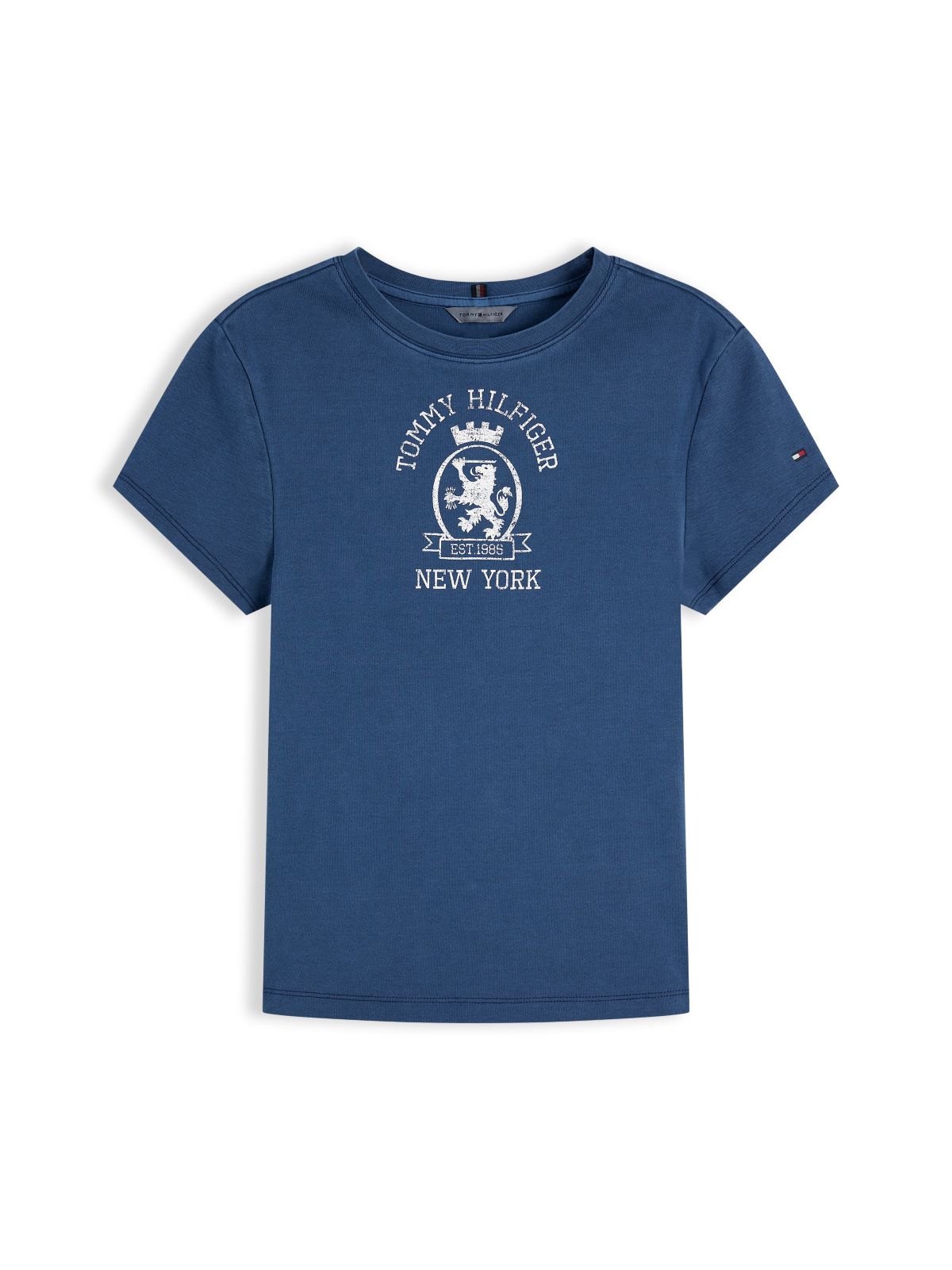 Washed Crest Slim T-Shirt — Blue