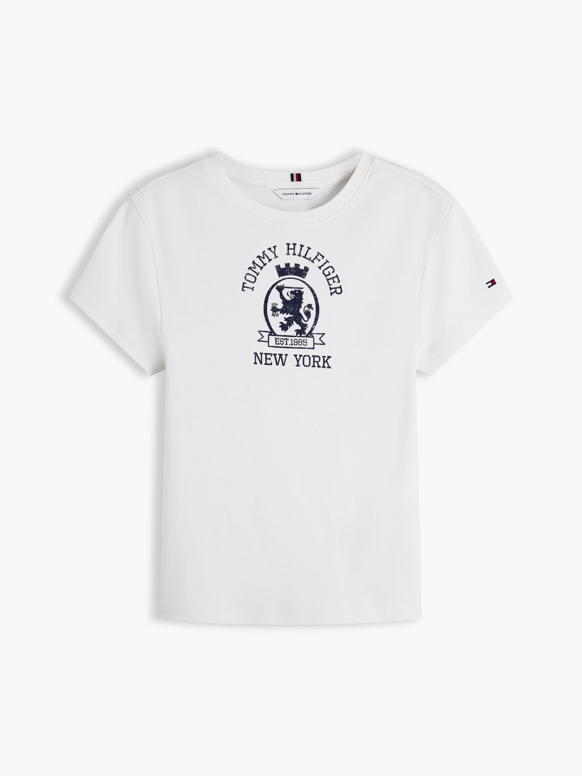 Washed Crest Slim T-Shirt — Grey