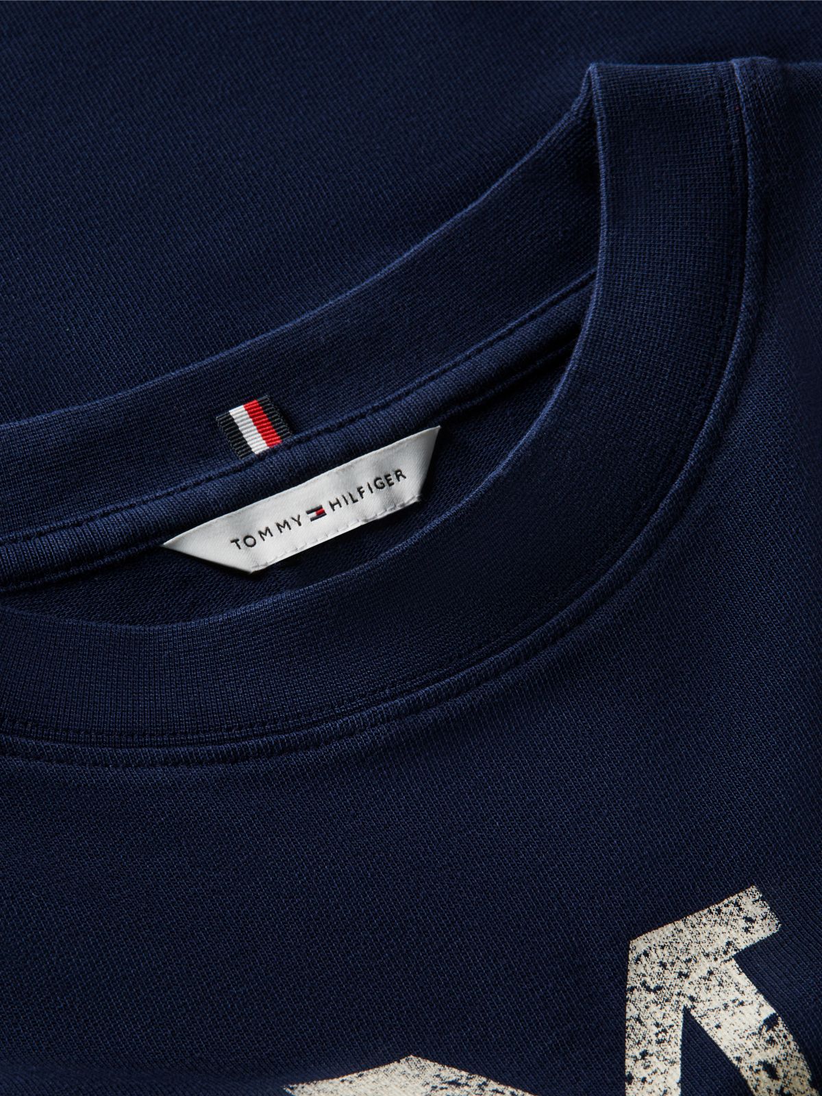 Crest Relaxed Oversized T-Shirt — Blue